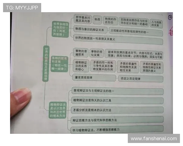 体育解说员的专业术语准确性论